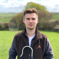 Jonny Bingham