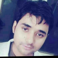 Vivek Arya