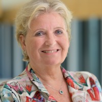 Prof Dr Lisette Van Gemert-Pijnen