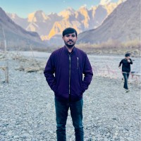 Anees Hussain