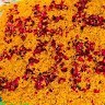 Patel Hela