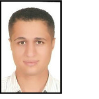 Mohamed Kamili