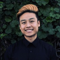 Vinh Vu