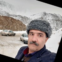 Omid babaee