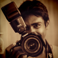 Ad Code Antony ant
