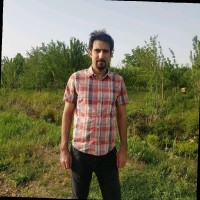 Amin Zafari
