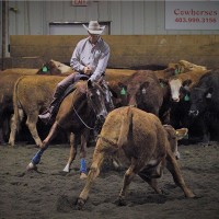 Lorne Hyvonen, Crsp,Chsc