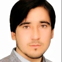 Muhammad Rizwan Ullah