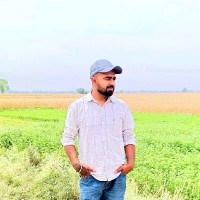 Ravi Kumar
