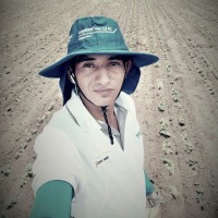 Freddy Vallejos