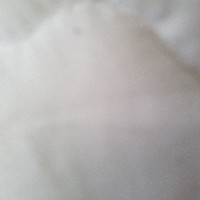 Shandrela Snubis