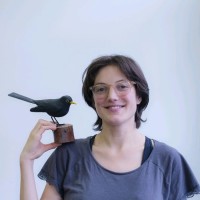 Julie Van Houtryve