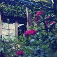 عبدالله هليل