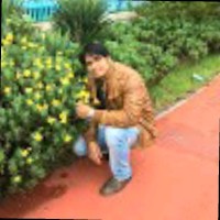 Anis Shaikh