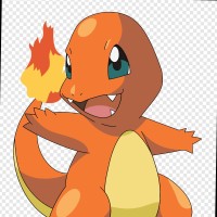 Xiaolong (Collin) Lu