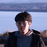 Wei Qiang