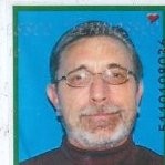 Ray Lipps