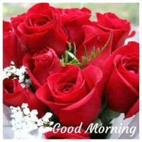 Debasis Roy