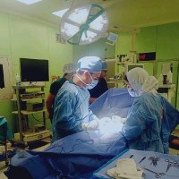 ELsayed reda mohamed Mahmoud