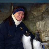 Patti Dibb