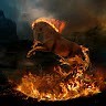 Rashed s