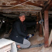 Ace Home / pool inspections services