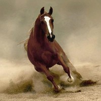 Susana Maria Soto Gutierrez