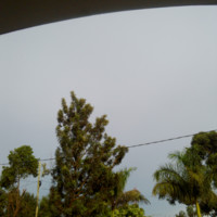 Okello Gerarls