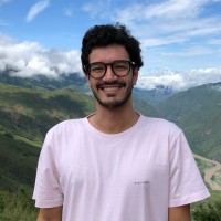 João Pedro Carlini Minchillo