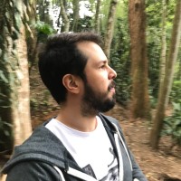 Pedro Henrique S. Cardoso