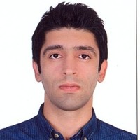 Hossein Amin Anaraki