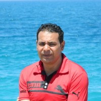 Zain El Abdeen Ahmed Ibrahim