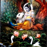 Anirban Roy Chowdhury