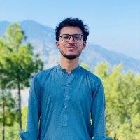 Hassan Raza