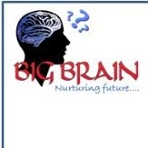 BIG BRAIN