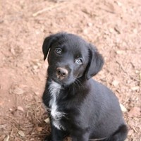 Francisco Lopez cabeza