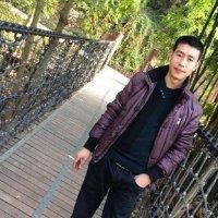 叶春华