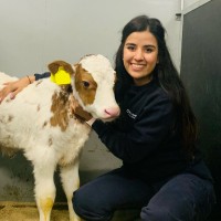 Juanita Echeverry