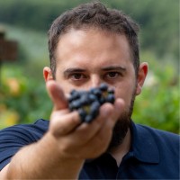 Andrea Tabolacci