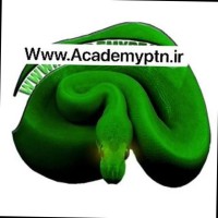 trade forex