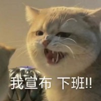 Meng Zhang