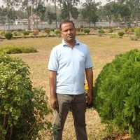 Kawsar Ahmed