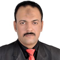 Eng.Hany Metwally