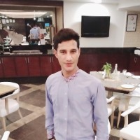 Hans Raj