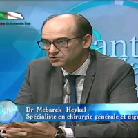 Heykel Mebarek