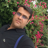 Hamid Habibi Nia