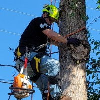 Roger Waddell, Cprp, Isa Certified Arborist