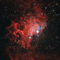 Michael C. Neokleous