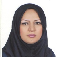 Kobra Gholizadeh