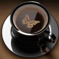 Eciatto Andrew Low H/P